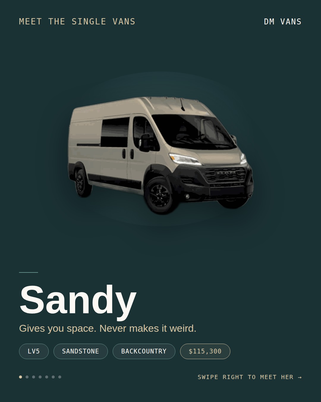 2027 LV5 Backcountry Sandstone - "Sandy" - Image 2